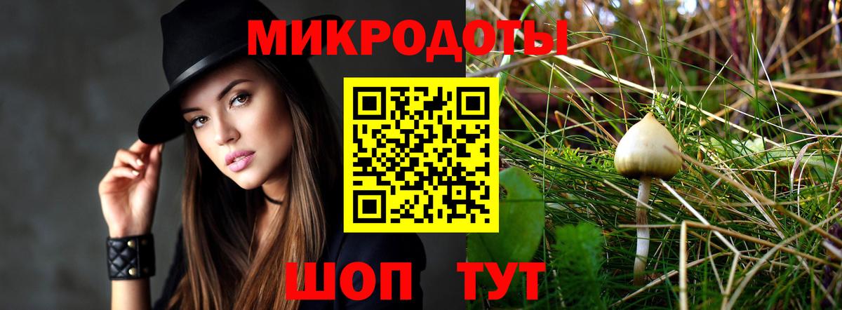 Галлюциногенные грибы Psilocybe  Вход с VPN  Улан-Удэ 